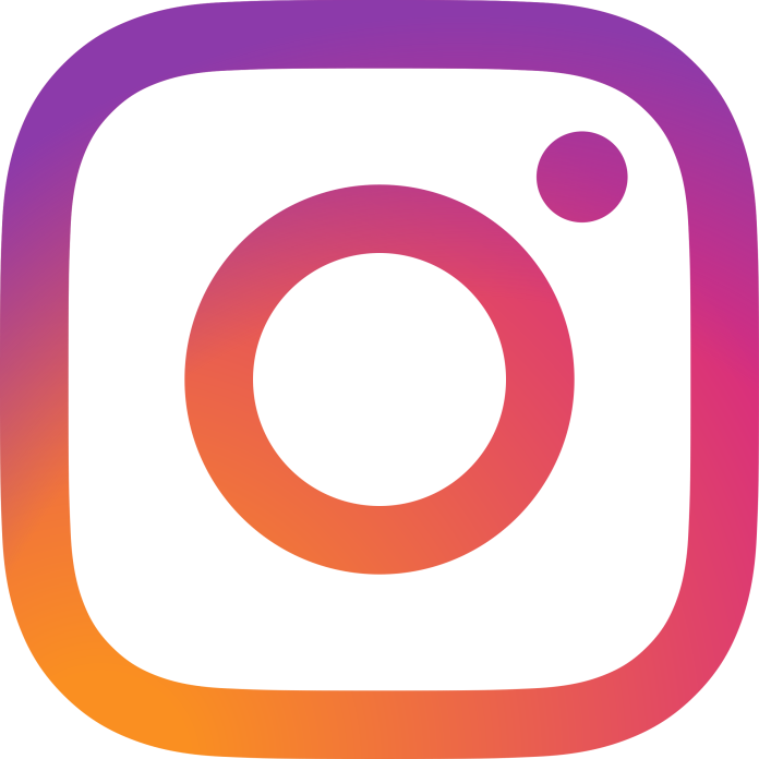 icone instagram